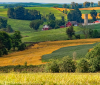 OHIO UTILITY COORDINATING COUNCILS